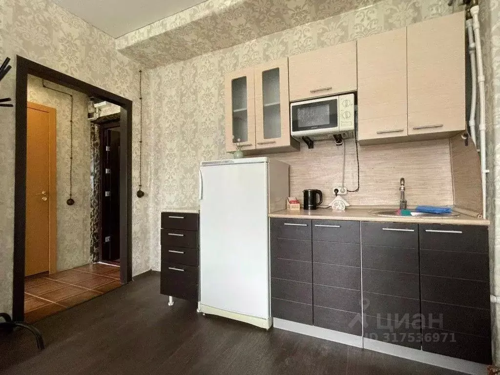 2-к кв. Новосибирская область, Новосибирск Красный просп., 59 (27.0 м) - Фото 1