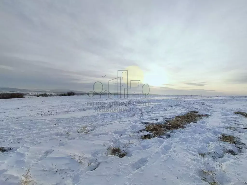 Участок в Иркутская область, Иркутский муниципальный округ, с. Урик ... - Фото 1