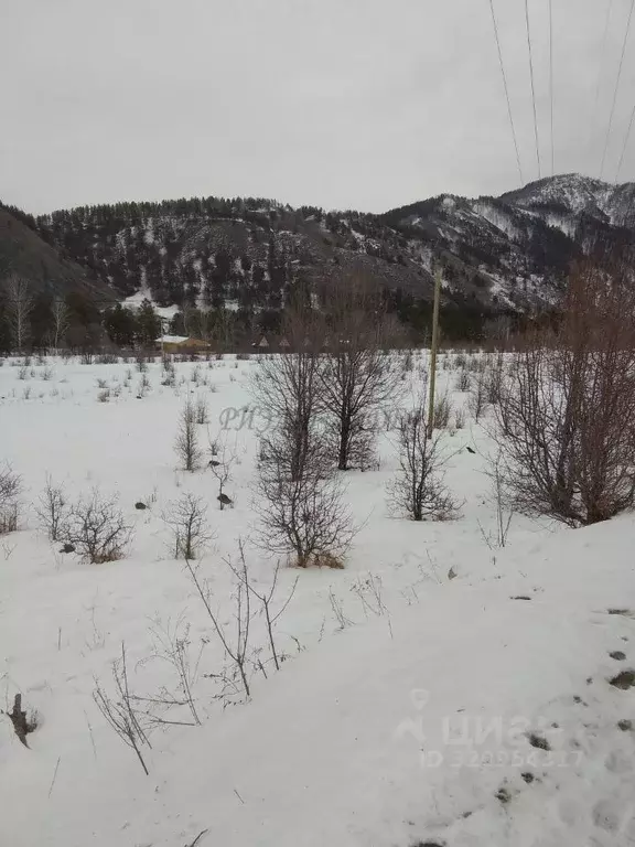 Участок в Алтай, Чемальский район, с. Анос Центральная ул., 41 (105.0 ... - Фото 2