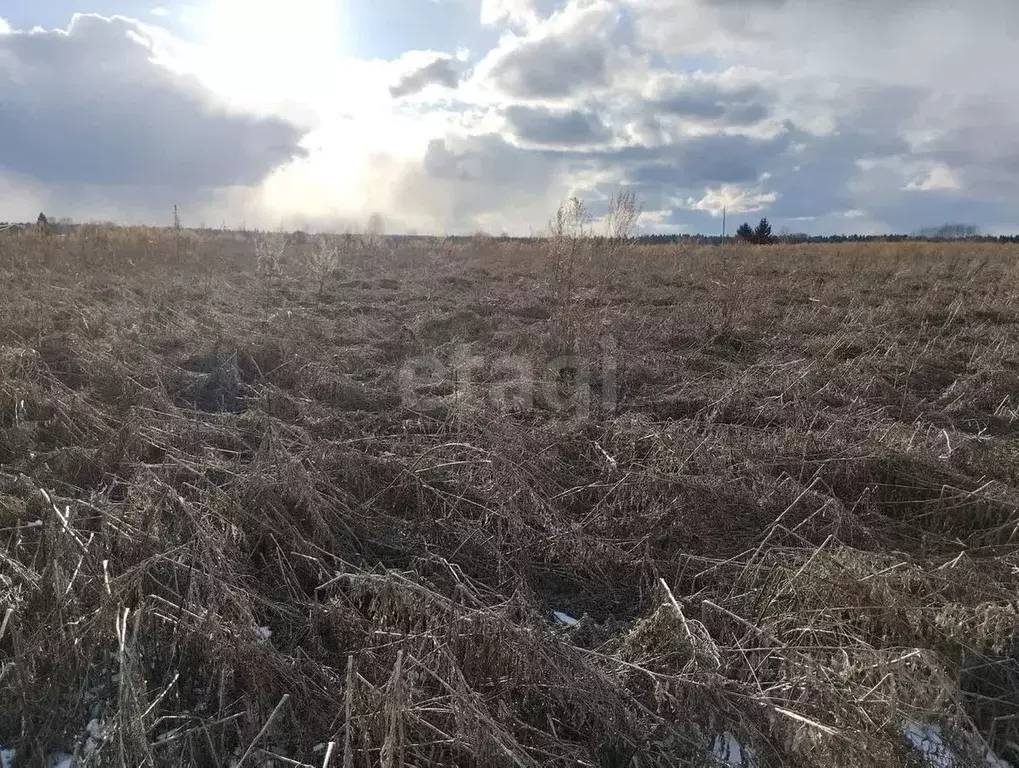 Участок в Вологодская область, пос. Заря  (15.0 сот.) - Фото 1