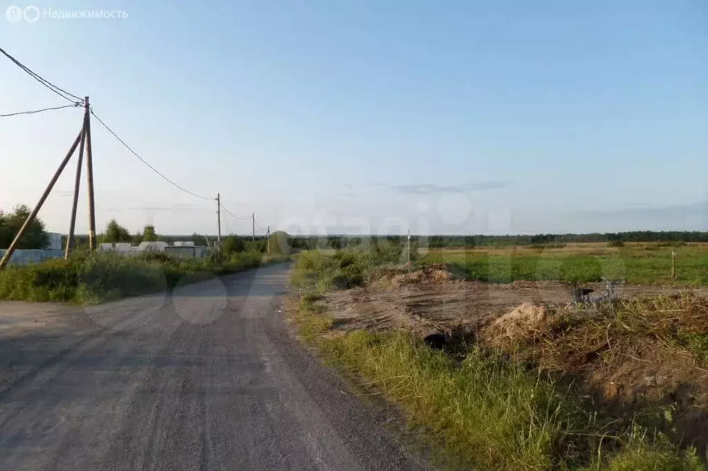 Участок в Вологодская область, Череповецкий муниципальный округ, ... - Фото 1