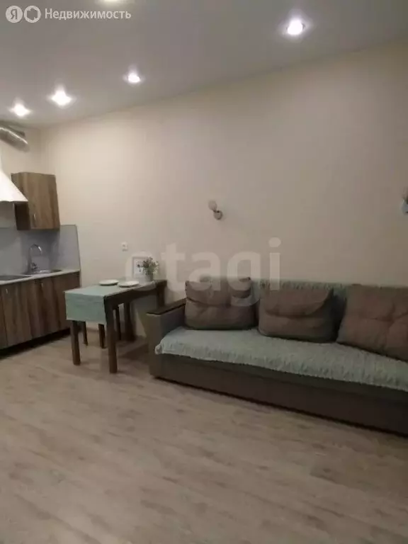 Квартира-студия: Мурино, Петровский бульвар, 14к5 (23.4 м) - Фото 2