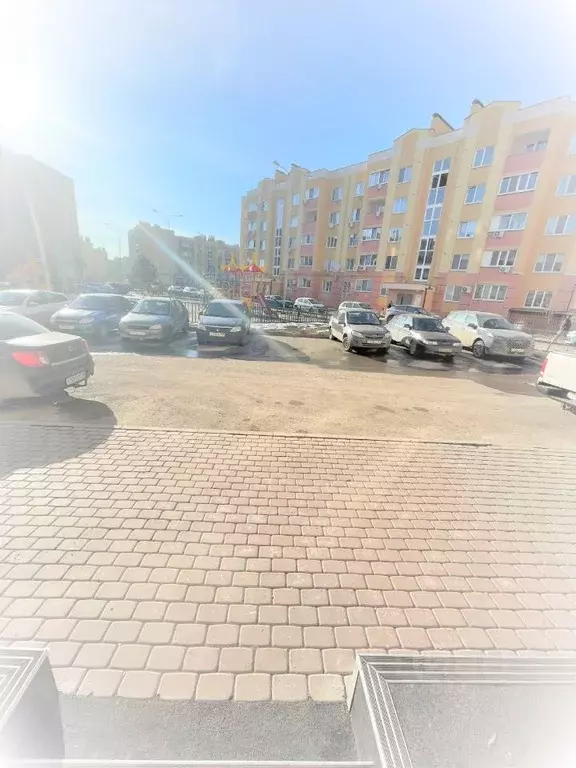 1-к кв. Самарская область, Волжский район, Лопатино с/пос, пос. ... - Фото 2