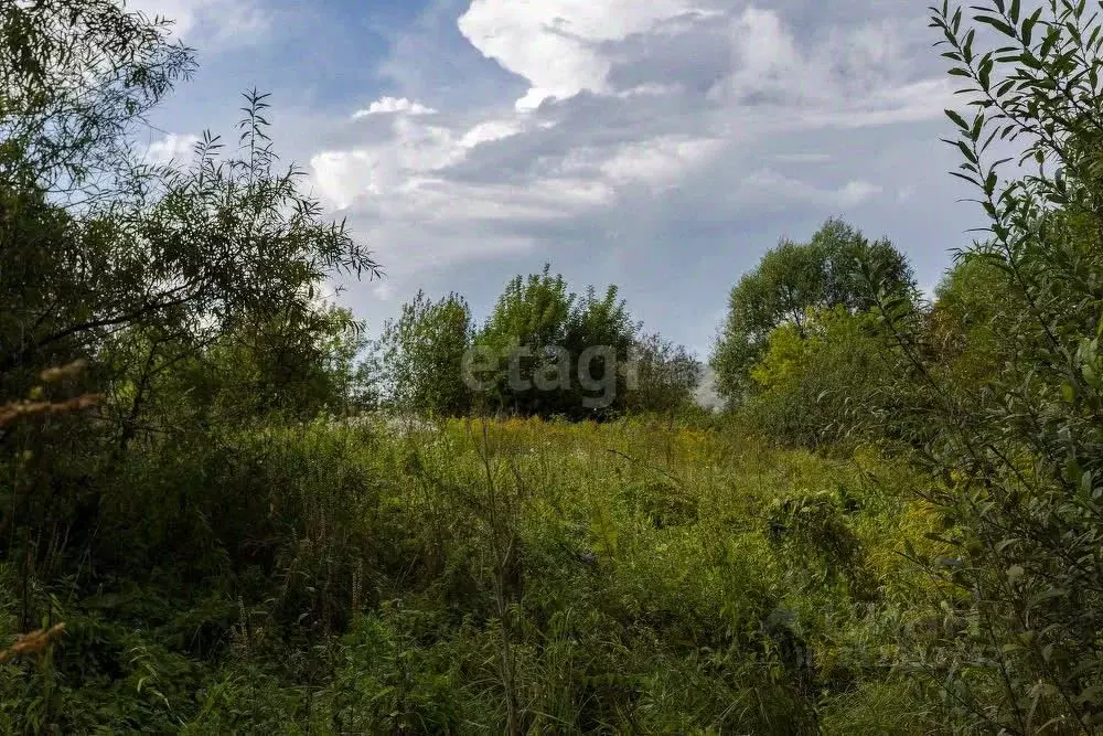 Участок в Кемеровская область, Новокузнецкий муниципальный округ, с. ... - Фото 0