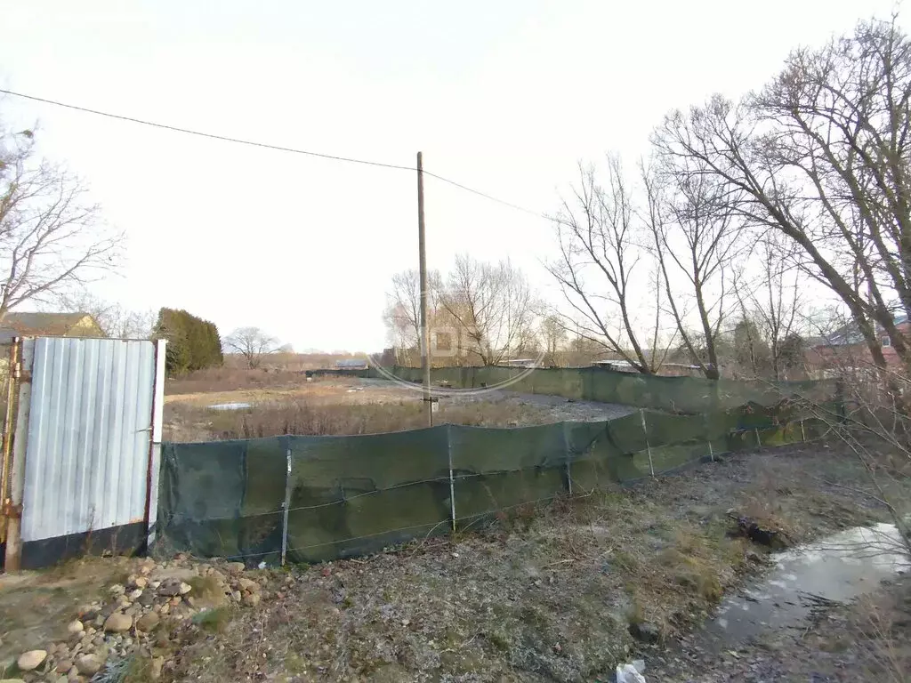 Участок в Калининградская область, Зеленоградский муниципальный округ, ... - Фото 2