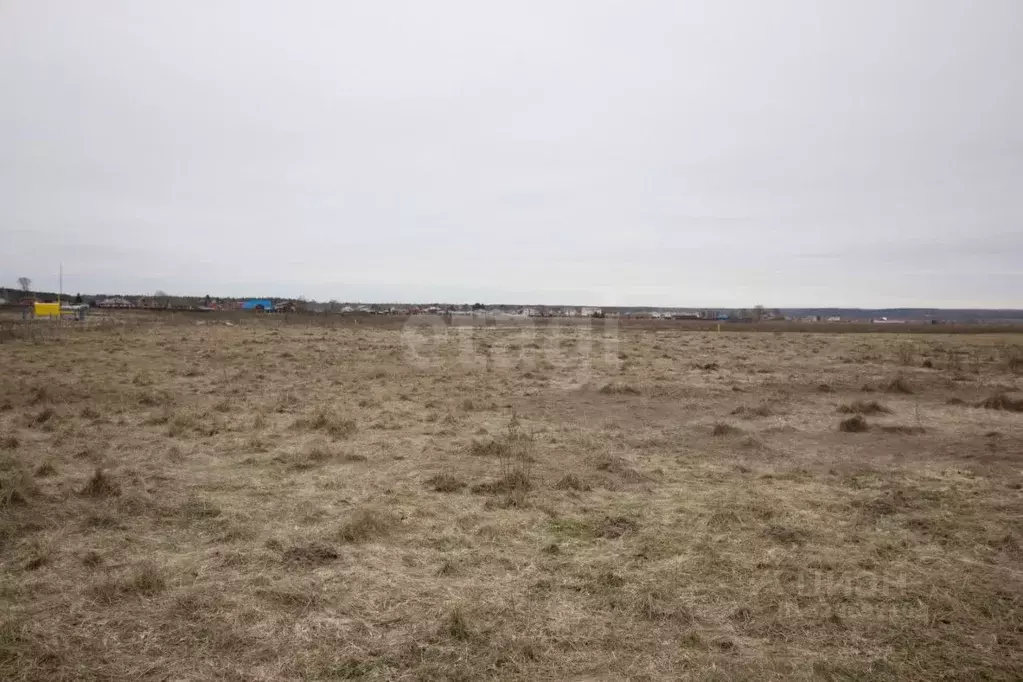 Участок в Калужская область, Дзержинский муниципальный округ, с. ... - Фото 1