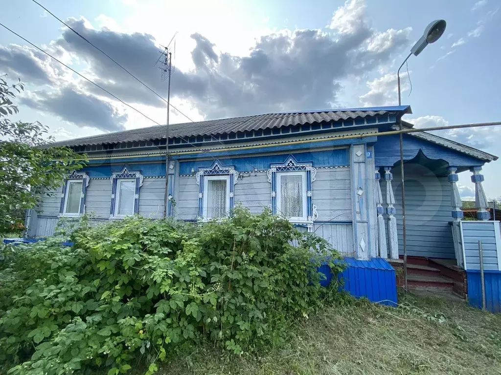 Дом 33,6 м на участке 31 сот. - Фото 0