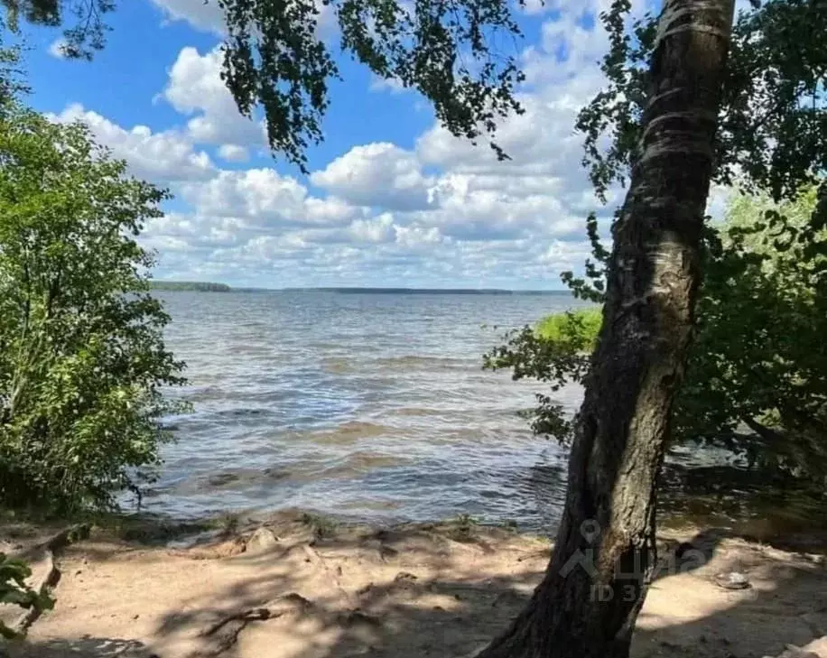 Участок в Московская область, Мытищи городской округ, с. Марфино ул. ... - Фото 0