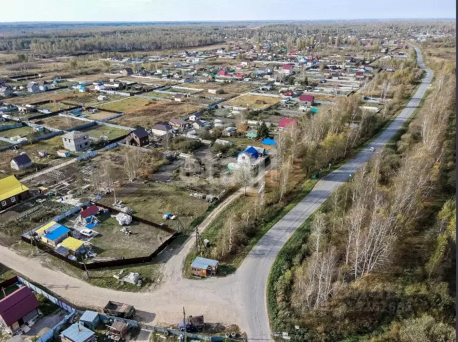 Участок в Тюменская область, Нижнетавдинский район, Строитель ТСН  ... - Фото 1