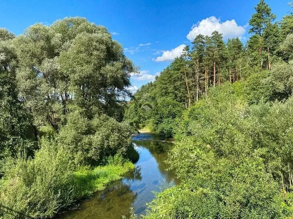 Участок в Калужская область, Тарусский район, Похвиснево с/пос, д. ... - Фото 2