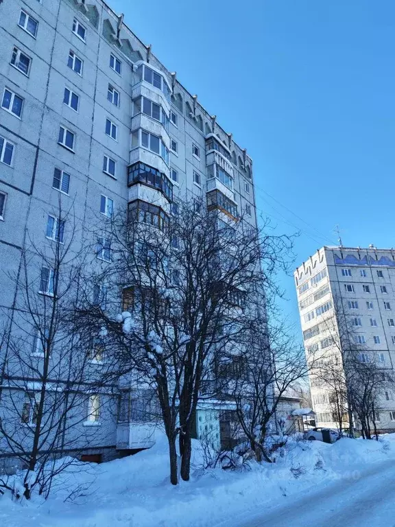 3-к кв. Коми, Сыктывкар Нижний Чов мкр, ул. Магистральная, 19 (66.5 м) - Фото 1