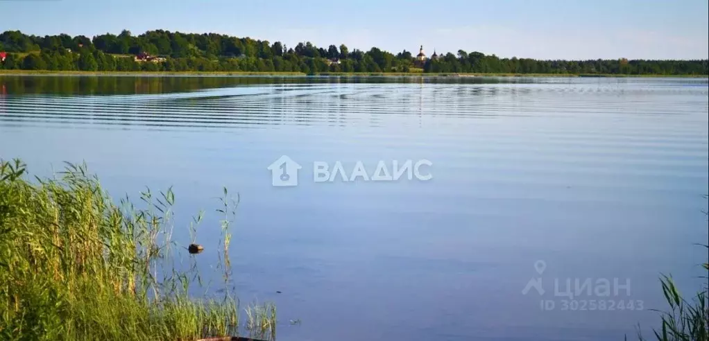 Участок в Псковская область, Новоржевский муниципальный округ, д. ... - Фото 0