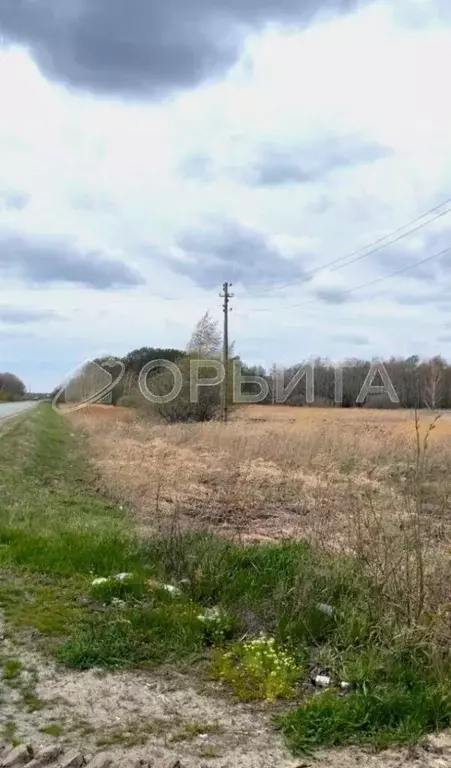 Участок в Свердловская область, Слободо-Туринский район, ... - Фото 1