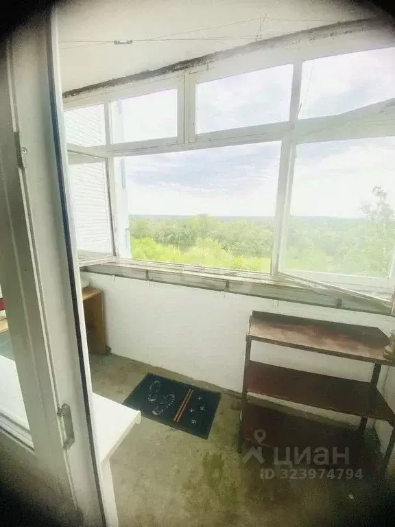 1-к кв. Курганская область, Курган просп. Конституции, 36А (34.0 м) - Фото 1