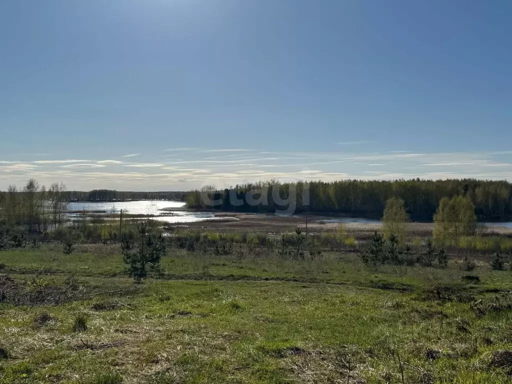 Участок в Костромская область, Красносельский район, Шолоховское ... - Фото 1