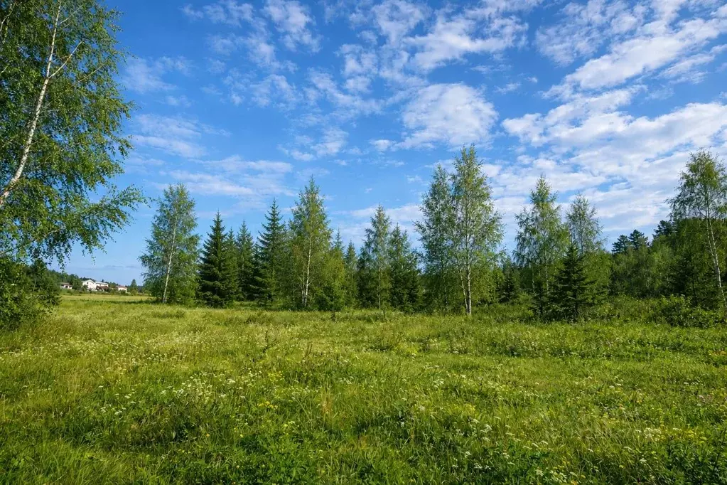 Участок в Московская область, Солнечногорск городской округ, д. Покров ... - Фото 2