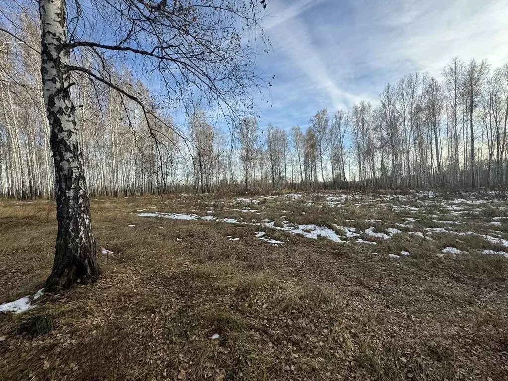 Участок в Тюменская область, Тюменский район, Винзили рп ул. Спорта ... - Фото 0