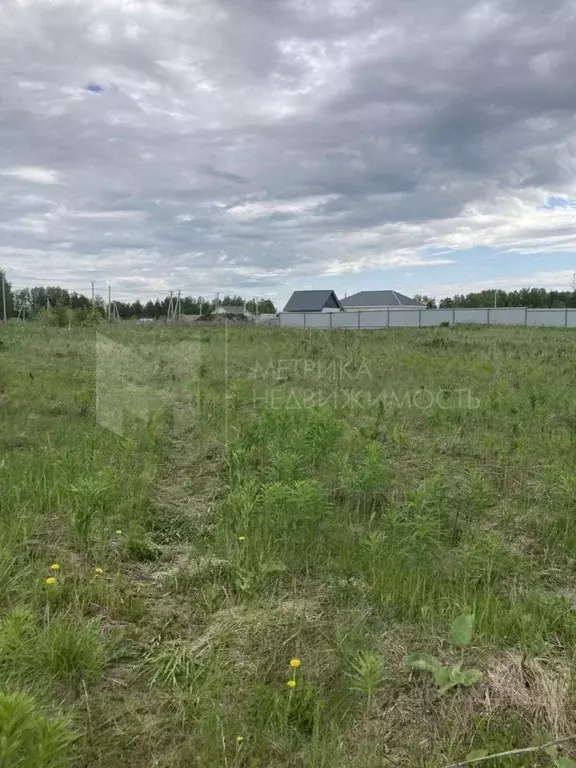 Участок в Тюменская область, Тюменский район, Казарма урочище  (10.5 ... - Фото 0