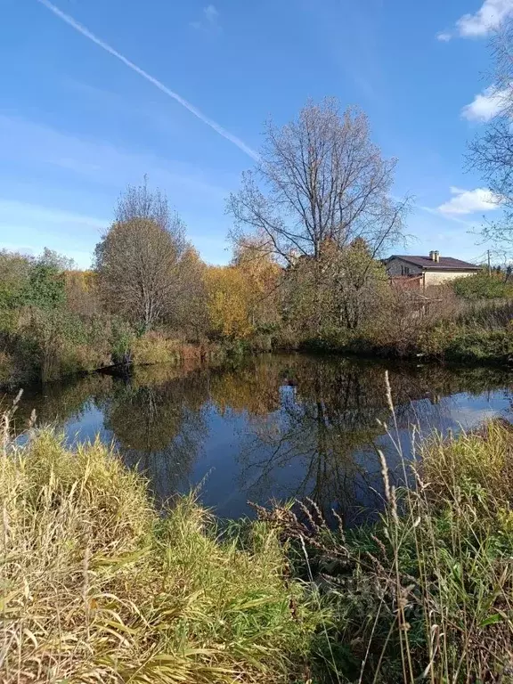 Участок в Кировская область, Киров городской округ, д. Куликовская 14 ... - Фото 2