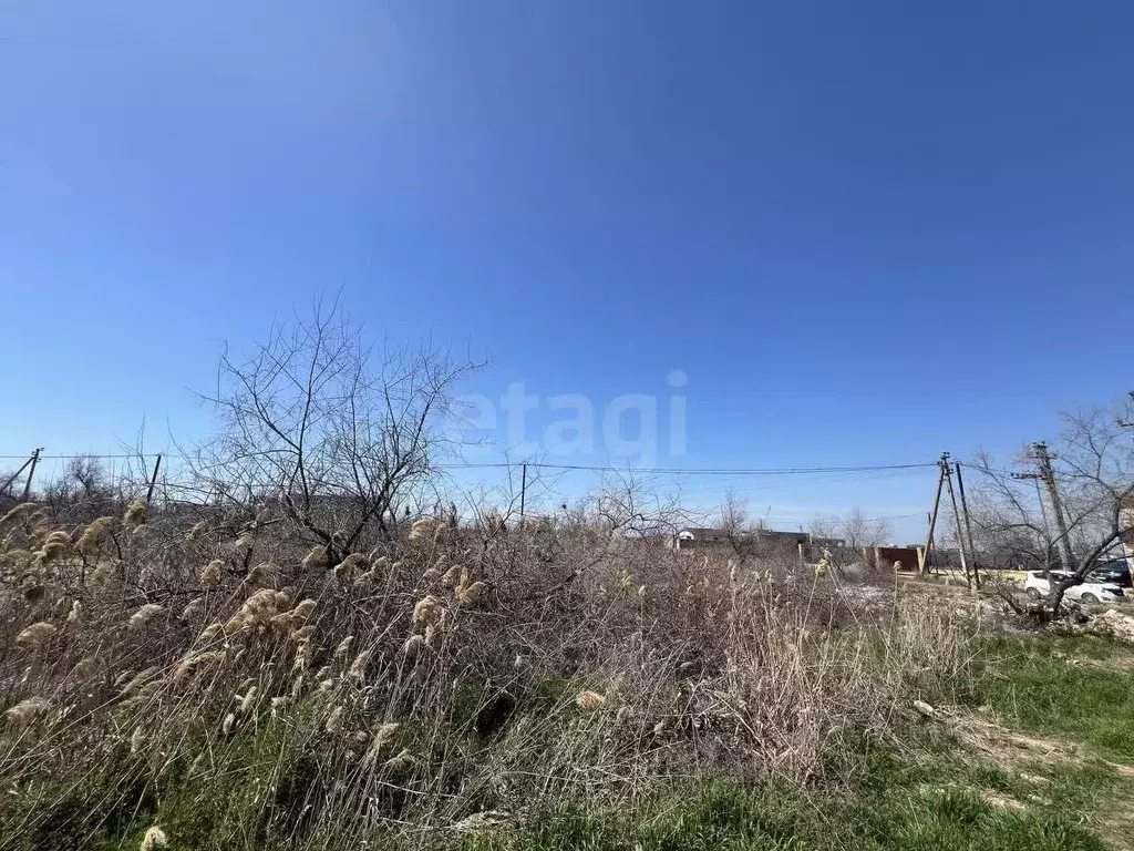 Участок в Крым, Саки Садовод ТСН, ул. Каламитская (5.23 сот.) - Фото 1