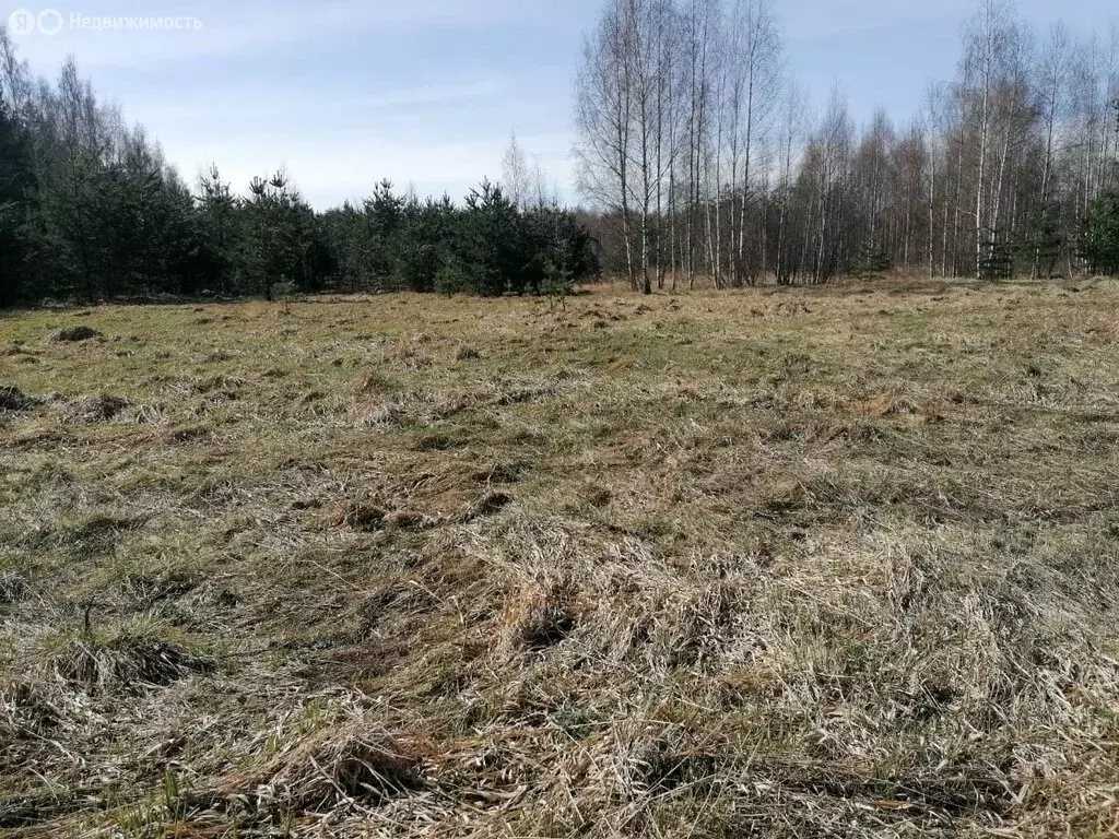 Участок в Рахьинское городское поселение (10 м) - Фото 1