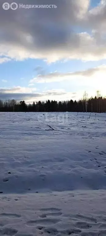 Участок в Пермский край, Добрянский муниципальный округ, деревня ... - Фото 1