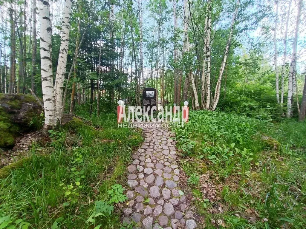 Дом в Выборг, Фарватерная улица, 3 (211.4 м) - Фото 1