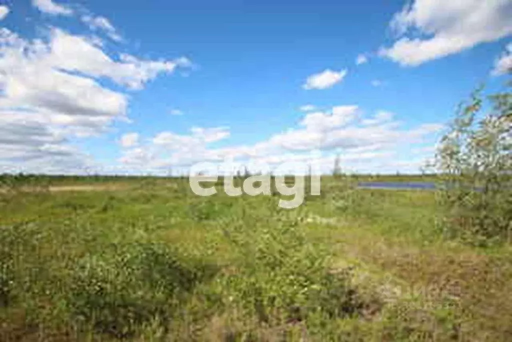 Участок в Ямало-Ненецкий АО, Новый Уренгой ул. 9-я Запрудная (6.0 ... - Фото 1