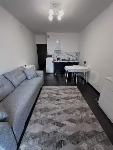 Квартира-студия, 23,5 м, 2/6 эт. - Фото 0