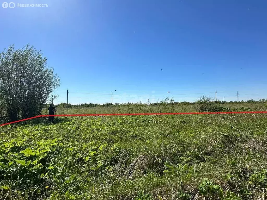 Участок в посёлок Муромский, садоводческое некоммерческое товарищество ... - Фото 1