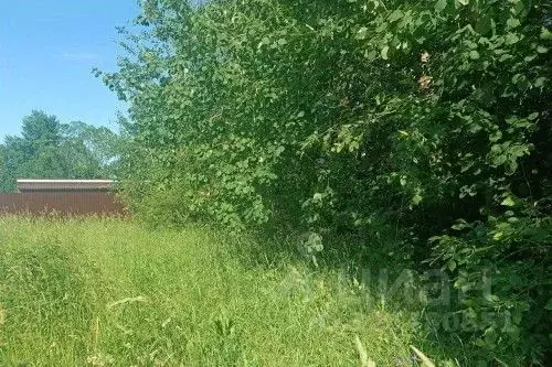 Участок в Новгородская область, Новгородский район, Ракомское с/пос, ... - Фото 2