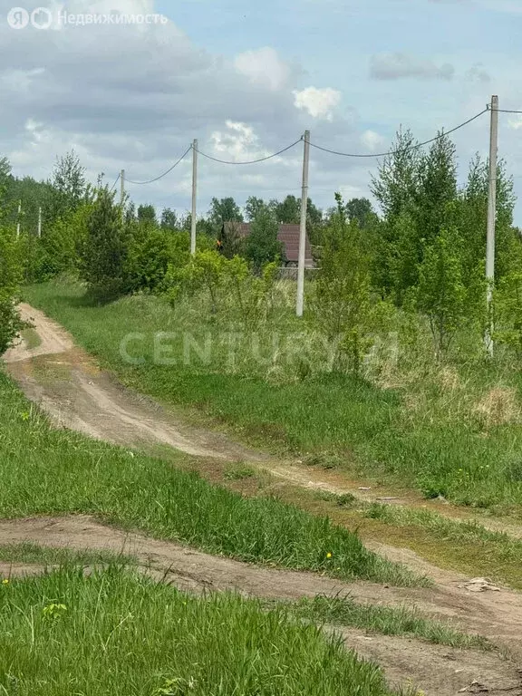 Участок в Первомайский район, посёлок Новый, Берёзовская улица, 8 (12 ... - Фото 2