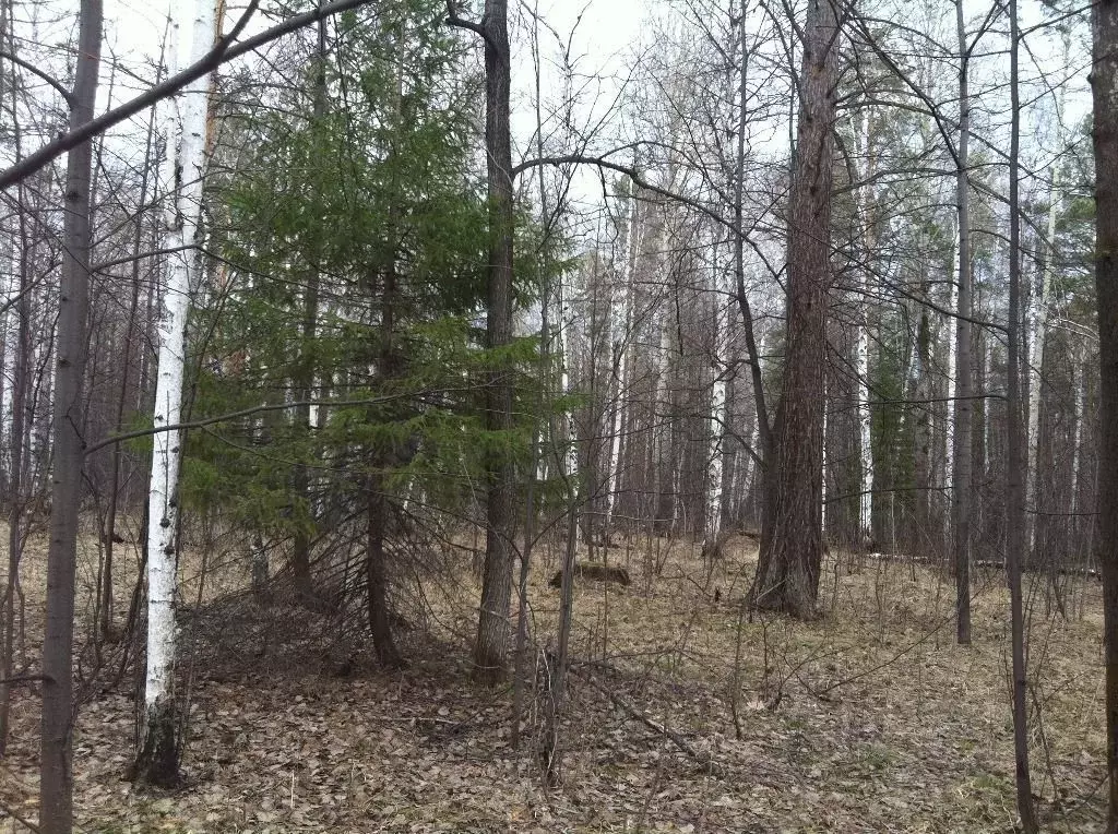 Участок в Свердловская область, Ревда городской округ, с. Кунгурка  ... - Фото 0