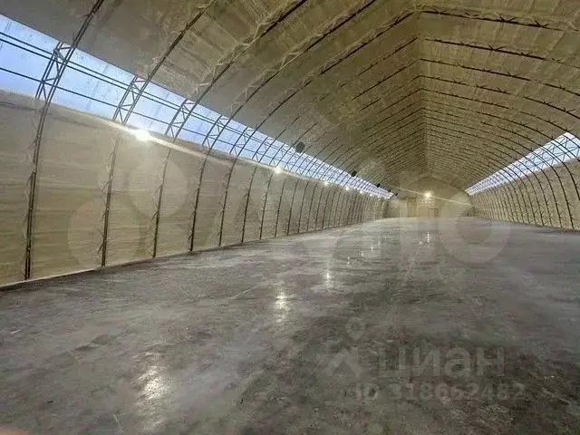Склад в Московская область, Мытищи городской округ, д. Аббакумово ул. ... - Фото 1
