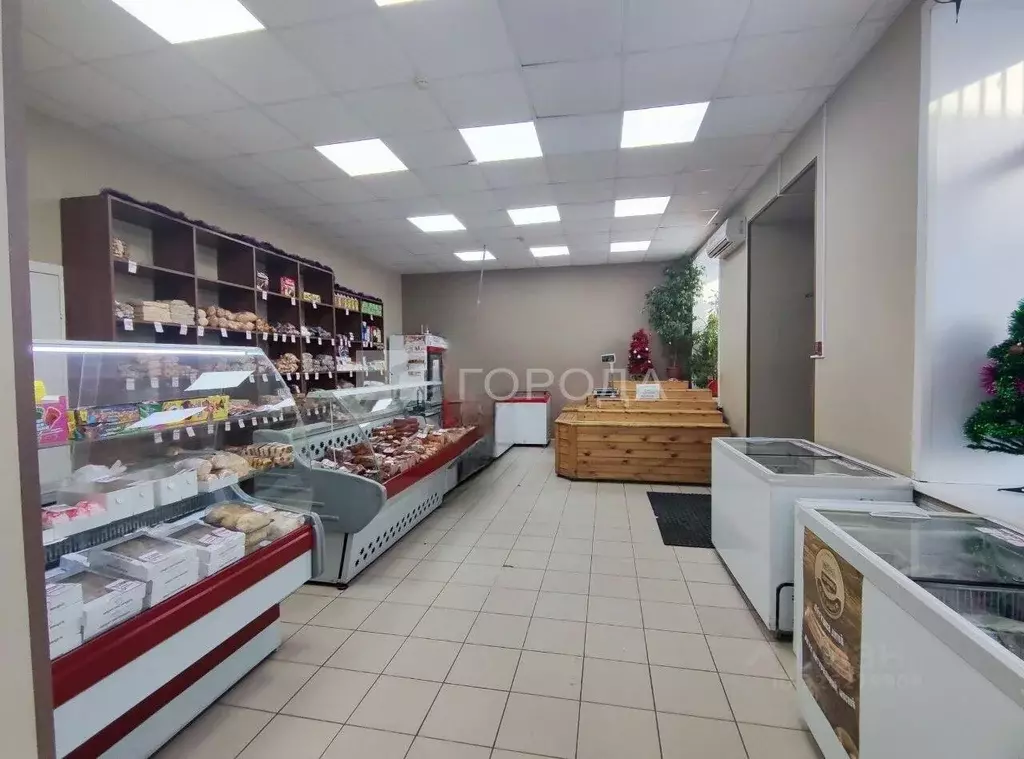 Помещение свободного назначения в Новосибирская область, Новосибирск ... - Фото 1