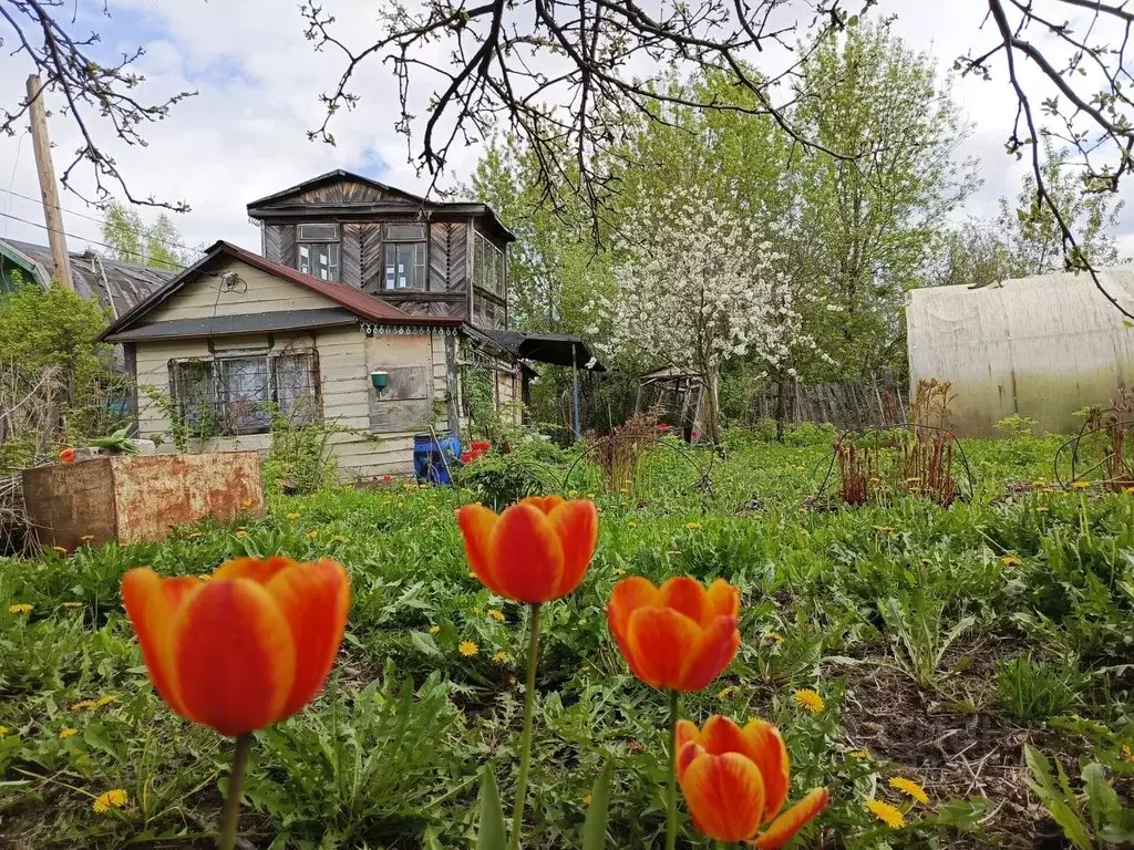 Дом в Нижегородская область, Бор Водник СНТ,  (20 м) - Фото 0