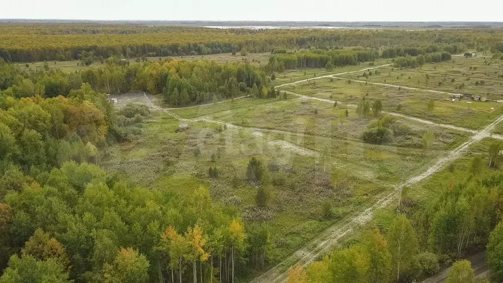 Участок 9,6 сот. (СНТ, ДНП) - Фото 0
