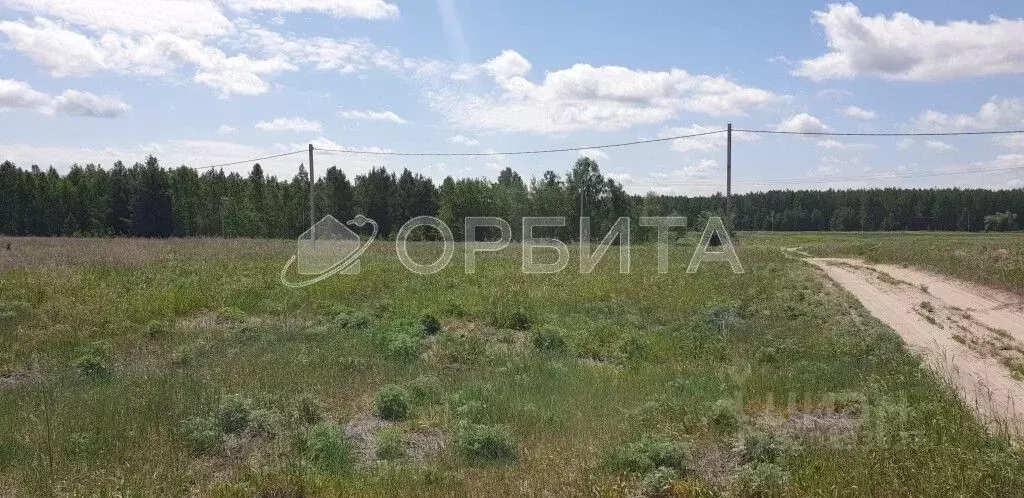 Участок в Тюменская область, Тюменский район, д. Криводанова  (11.5 ... - Фото 0