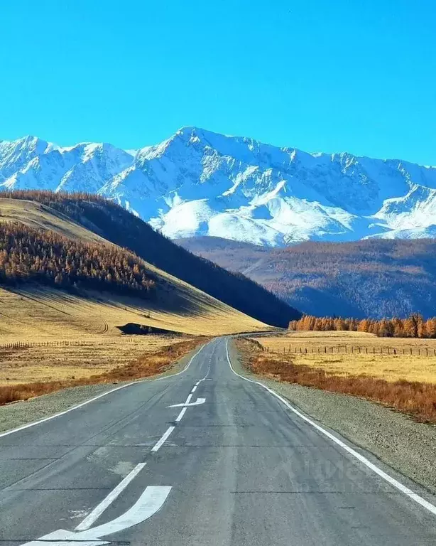 Участок в Алтай, Улаганский район, с. Акташ ул. Карла Маркса (82.0 ... - Фото 1