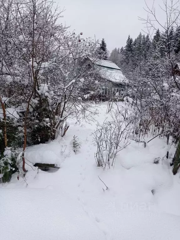 Участок в Ленинградская область, Выборгский район, Гончаровское с/пос, ... - Фото 1
