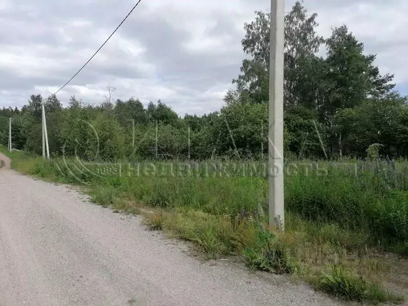 Участок в Ленинградская область, Приозерский район, Кузнечнинское ... - Фото 1