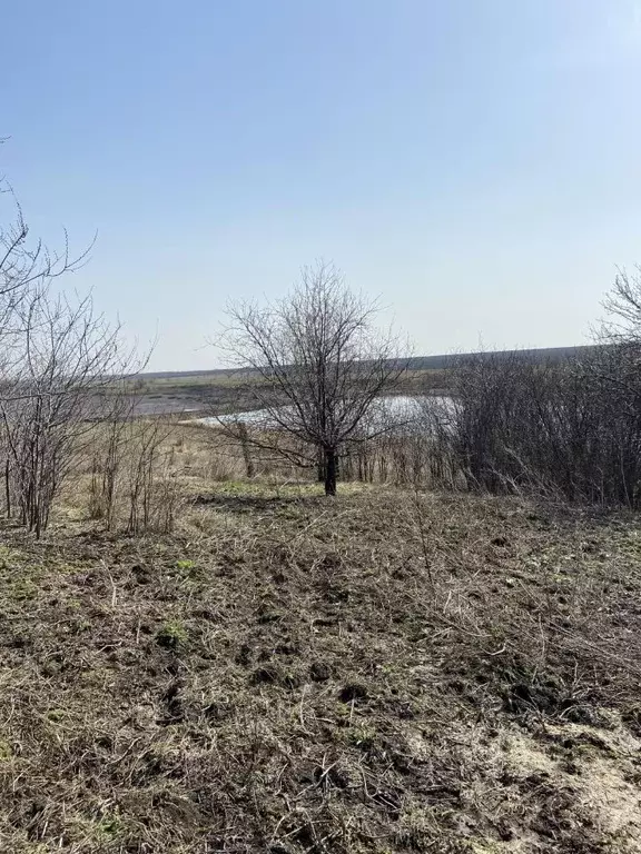 Участок в Саратовская область, Саратов муниципальное образование, пос. ... - Фото 1