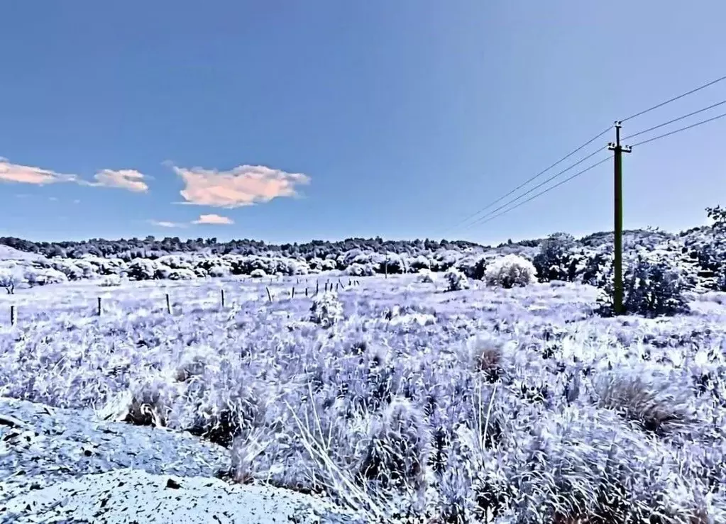 Участок в Амурская область, Серышевский муниципальный округ, с. ... - Фото 1