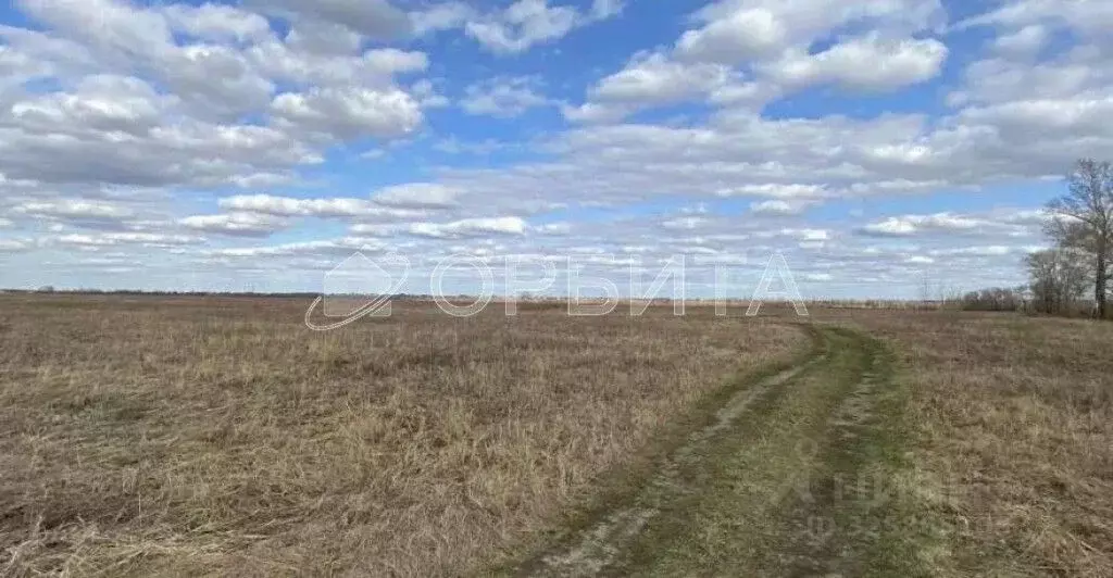Участок в Тюменская область, Тюменский муниципальный округ, с. Ембаево ... - Фото 1