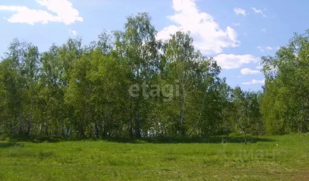 Участок в Свердловская область, Красноуральск ул. Лермонтова (15.0 ... - Фото 1