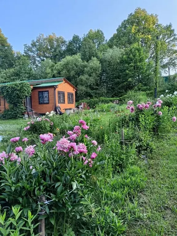 Дом в Тульская область, Алексин городской округ, д. Дулево  (65 м) - Фото 1