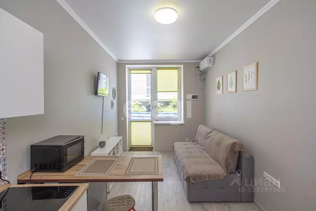 Студия Севастополь с. Орловка, ш. Качинское, 35/10 (20.0 м) - Фото 0