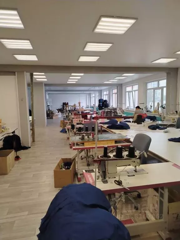 Офис в Пензенская область, Пенза ул. Антонова (286 м) - Фото 2