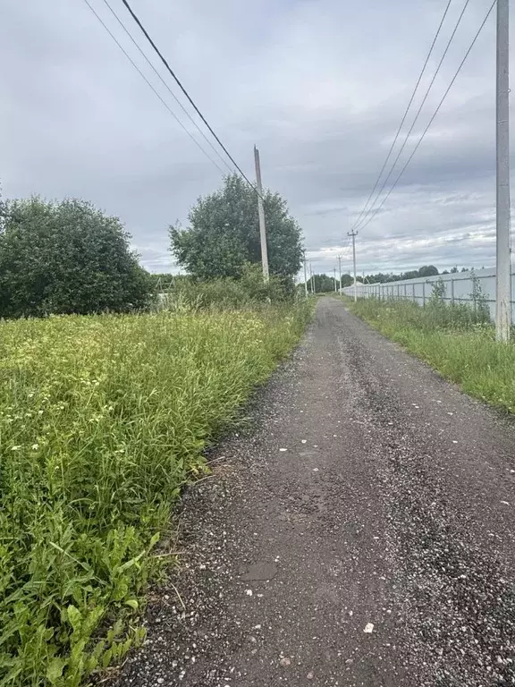 Участок в Ленинградская область, Всеволожский район, Романовское ... - Фото 2