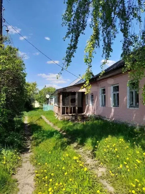 Дом в Тульская область, Киреевский район, Бородинское с/пос, д. ... - Фото 1